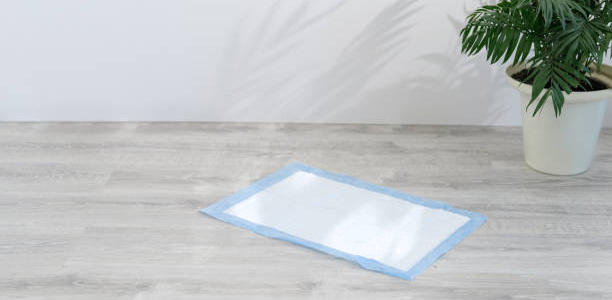 Hygiene-and-Cleanliness