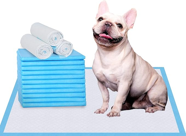 Pupy siuse podkładki regularnie rozmiar